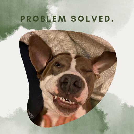 Tyson, with words "Problem Solved."